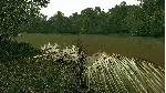 DLC Ultimate Fishing Simulator - Amazon River КЛЮЧ - irongamers.ru
