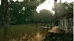 DLC Ultimate Fishing Simulator - Amazon River КЛЮЧ - irongamers.ru