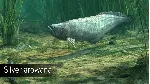 DLC Ultimate Fishing Simulator - Amazon River КЛЮЧ - irongamers.ru