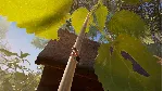 Empire of the Ants Digital Deluxe Edition АВТОДОСТАВКА STEAM GLOBAL МГНОВЕННО ЛИЦЕНЗИ