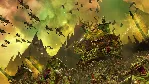 TOTAL WAR: WARHAMMER III 3 STEAM GLOBAL+РФ КЛЮЧ - irongamers.ru