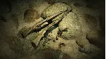 Zombie Army 4 Desert Damaged Weapon Skins - irongamers.ru