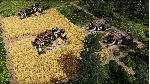 Endzone 2 * RU/KZ/СНГ/TR/AR * STEAM 🚀 АВТОДОСТАВКА