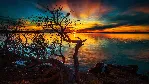 Обои природа для рабочего стола (ПАК 46 шт)