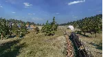 Railway Empire 2 XBOX +DLC На Любой Регион