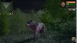Wolf Simulator: Silent Paws АВТОДОСТАВКА STEAM РОССИЯ - irongamers.ru