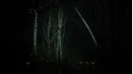 🚀 Backrooms Media 🤖 Steam Gift Россия ⚡ мгновенно