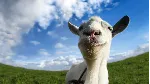 Goat Simulator PS4 & PS5
