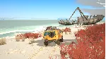Caravan Sandwitch * STEAM RU ⚡ АВТО 💳 0%