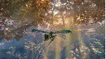Smalland: Survive the Wilds Steam ключ Global РФ Россия RU/CIS