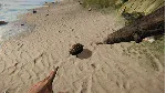 🚀 Project Castaway 🤖 Steam Gift Россия ⚡ мгновенно