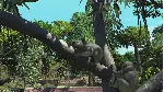 Zoo Tycoon Ultimate Animal Collection