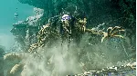 THRONE AND LIBERTY Early Access Ultimate Xbox Series XS - irongamers.ru