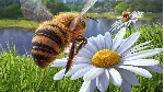 Bee Simulator PS4 & PS5