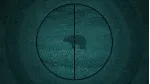theHunter: Call of the Wild™ - Scopes and Crosshairs Pa - irongamers.ru