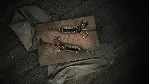 Hunt: Showdown 1896 - Bones and Bounties АВТОДОСТАВКА STEAM РОССИЯ