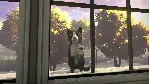 Copycat - STEAM GIFT РОССИЯ
