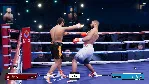 Undisputed - Deluxe WBC Edition Xbox Series X|S - irongamers.ru