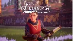 🎃 Harry Potter: Quidditch Champ(Xbox)+Игры общий аккаун