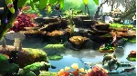 Violett Remastered + OST (Steam Gift region free)