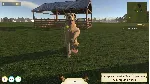 Animal Trainer Simulator * STEAM RU ⚡ АВТО 💳 0%