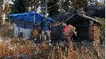 DayZ Frostline * RU/KZ/СНГ/TR/AR * DLC * STEAM 🚀 АВТО
