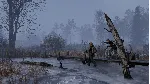 DayZ Frostline XBOX ONE SERIES X|S Цифровой Ключ - irongamers.ru