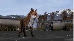 DayZ Frostline DLC - STEAM GIFT RU/KZ/UA/BY