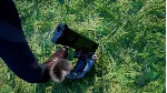 ✅ Squirrel with a Gun Xbox Series X|S активация