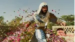 Assassin&acute;s Creed Mirage Master Assasin Edition ⭐STEAM⭐ - irongamers.ru