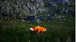 Spirit of the North| АВТОДОСТАВКА [Россия Steam Gift] - irongamers.ru
