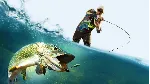 Pro Fishing Simulator PS4 & PS5