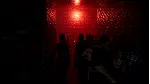 CROWDED. FOLLOWED. АВТОДОСТАВКА STEAM GLOBAL МГНОВЕННО ЛИЦЕНЗИЯ