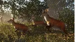THEHUNTER: CALL OF THE WILD - SUNDARPATAN NEPAL XBOX - irongamers.ru