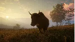 THEHUNTER: CALL OF THE WILD - SUNDARPATAN NEPAL XBOX - irongamers.ru