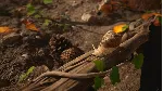 Empire of the Ants Xbox Series X|S