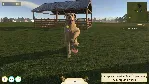 Animal Trainer Simulator КЛЮЧ🔑 STEAM ВСЕ СТРАНЫ
