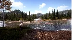 ✅ Hunting Simulator 2 - Bear Hunter Edit Xbox активация