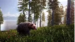 ✅ Hunting Simulator 2 - Bear Hunter Edit Xbox активация
