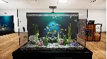 Aquatic Store Simulator - STEAM GIFT РОССИЯ