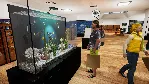 Aquatic Store Simulator - STEAM GIFT РОССИЯ