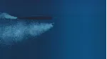 Sea Power : Naval Combat in the Missile Age|АВТО Steam - irongamers.ru