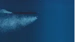 Sea Power : Naval Combat in the Missile Age 💎 АВТОДОСТАВКА STEAM GLOBAL МГНОВЕННО ЛИ