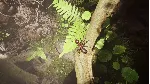 ✅ Empire of the Ants Xbox Series X|S активация