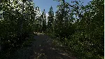 Finnish Cottage Simulator 💎 АВТОДОСТАВКА STEAM GLOBAL МГНОВЕННО ЛИЦЕНЗИЯ