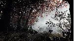 Warhammer Vermintide 2 🎮 Steam (PC) ✅ Русский