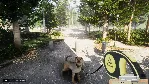 Animal Shelter · Steam Gift RU · АВТОДОСТАВКА - irongamers.ru