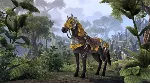 The Elder Scrolls Online - Dragon Slayer Mount \ XBOX - irongamers.ru