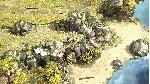 Shadow Tactics - Ultimate Bundle Xbox One & Series X|S - irongamers.ru