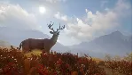 theHunter: Call of the Wild|АВТОДОСТАВКА RU Steam Gift - irongamers.ru